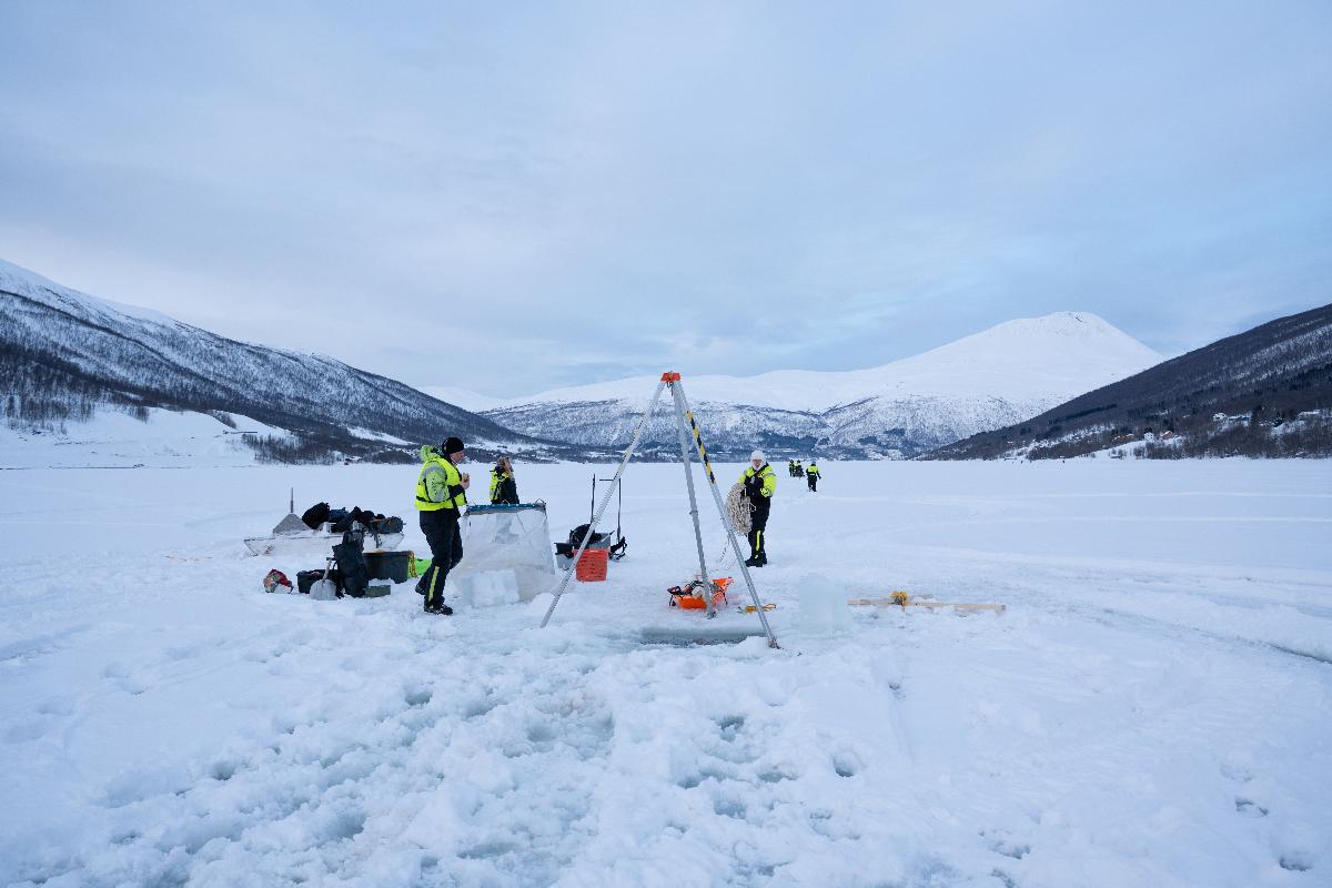 Sedna test-00665.jpg Tara Polaris